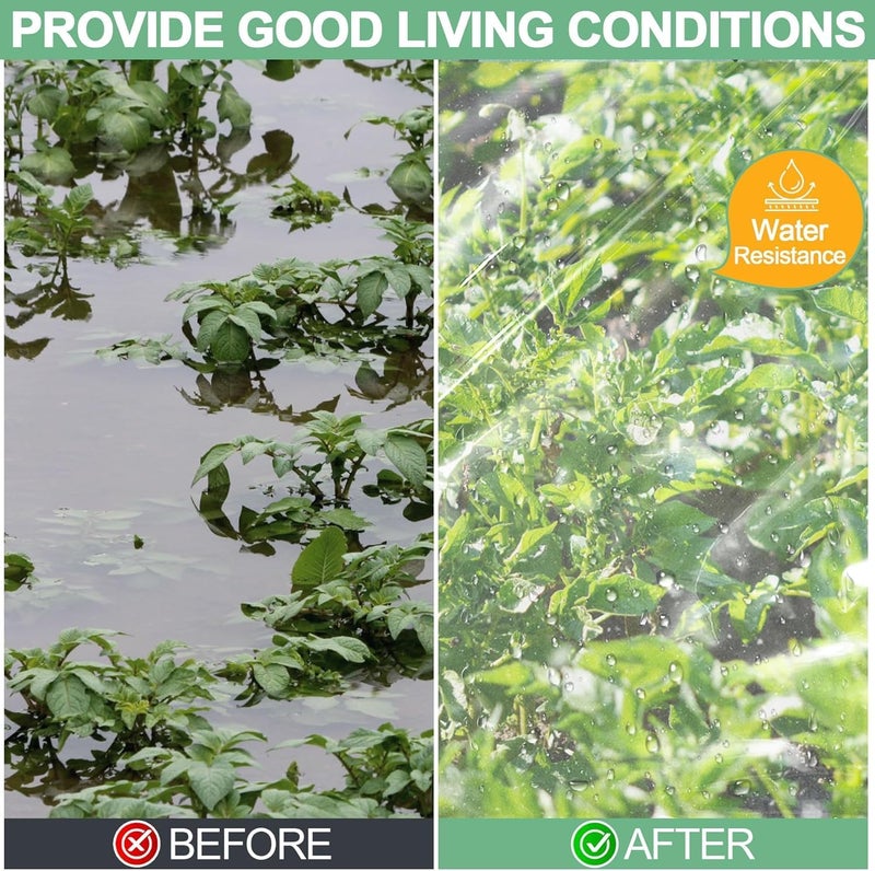 ToLanbbt 6.5 x 10 FT Clear Greenhouse Plastic Sheeting, 6 Mil Polyethylene Film Heavy Duty, Water Sun Frost Wind Dust Resistant Winter Hoop House Toughness Plastic Cover for Farming, Gardening, Agriculture,DIY - Image 5
